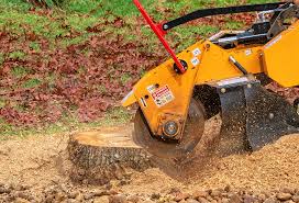 Best Soil Testing and Treatment  in Hanover, MN
